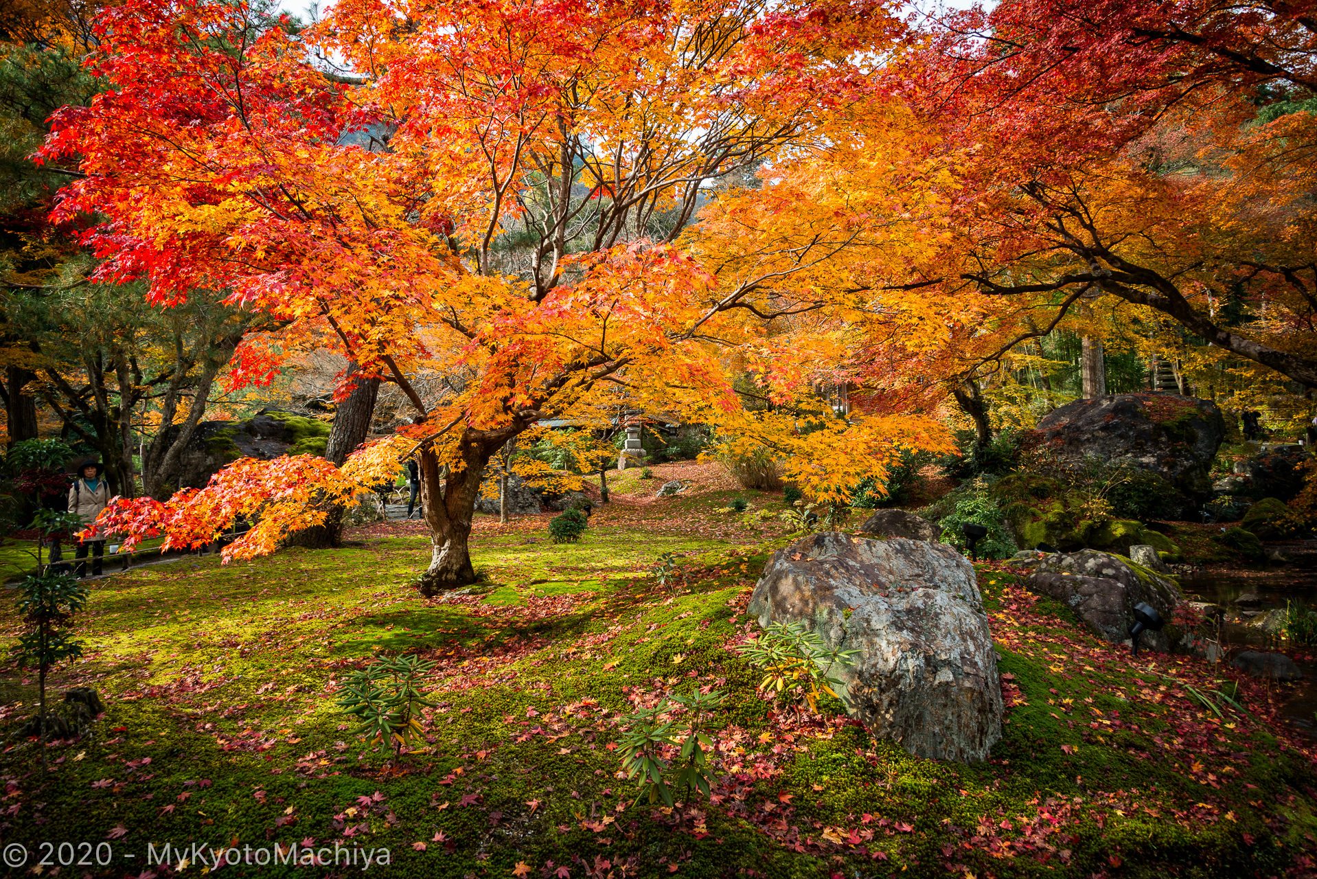 Fall colors, Hogon-In Temple, Kyoto