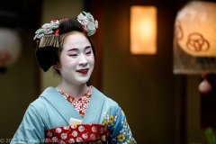 Kyoto-811495 Kyoto-811495