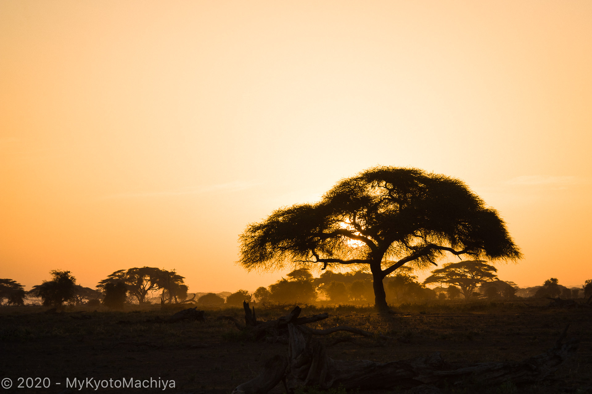 Sun rise Amboseli Park