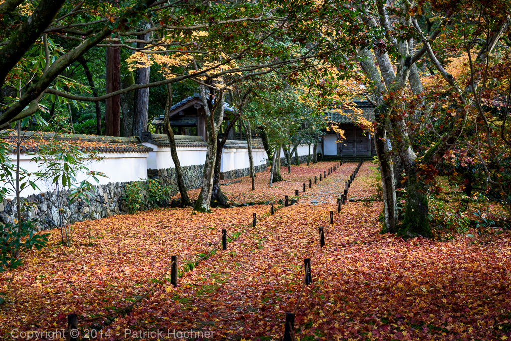 Kokedera - The Moss Temple - My Kyoto Machiya