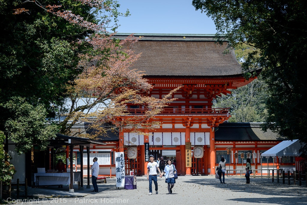 Shimogamo-jinja shrine with tree-lined approach and stone path