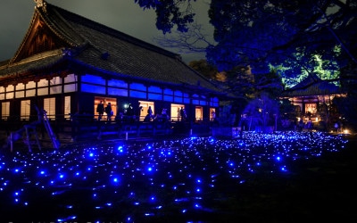 Light Show at the Shoren-In Temple