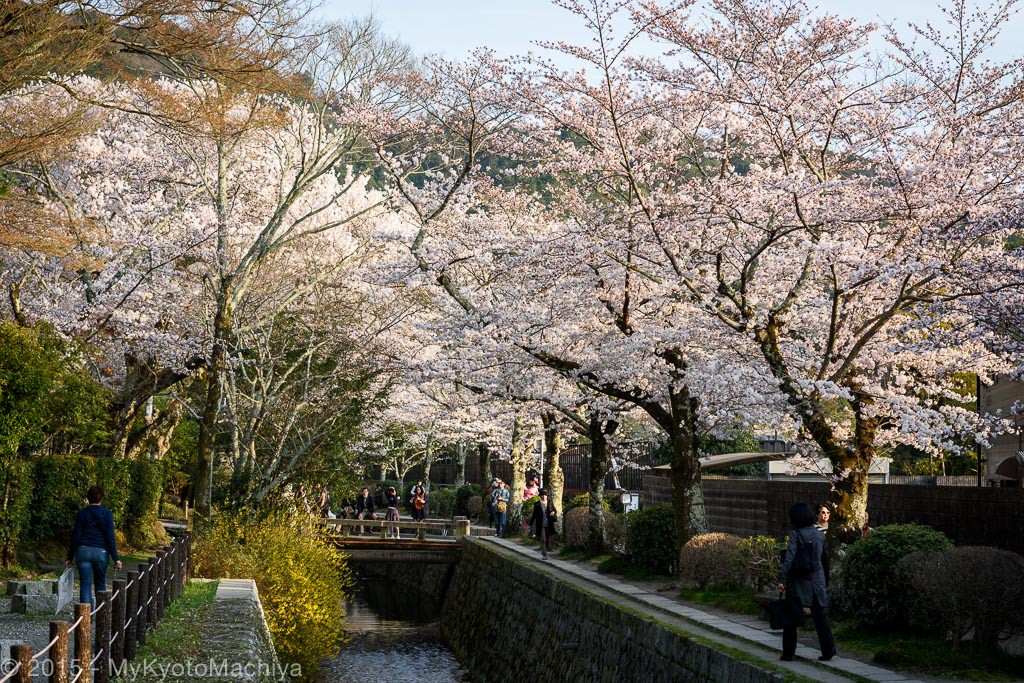 The Philosopher's Path | My Kyoto Machiya