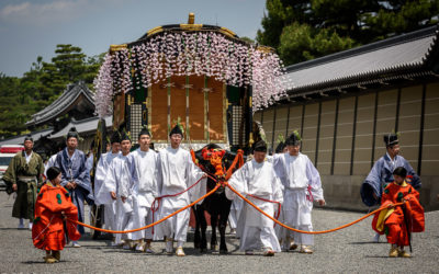 The Aoi Matsuri Festival