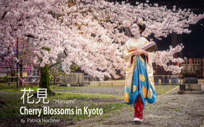 Hanami – Cherry Blossoms in Kyoto